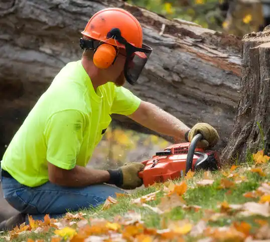 tree services Grandview